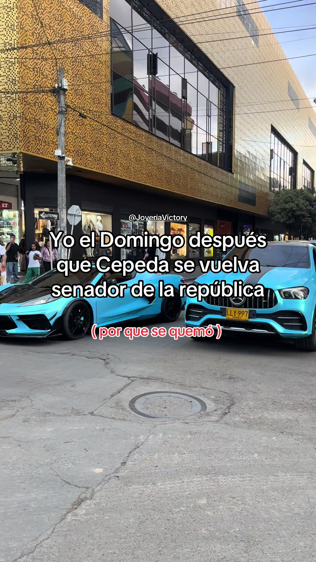 @toyo_pasion_