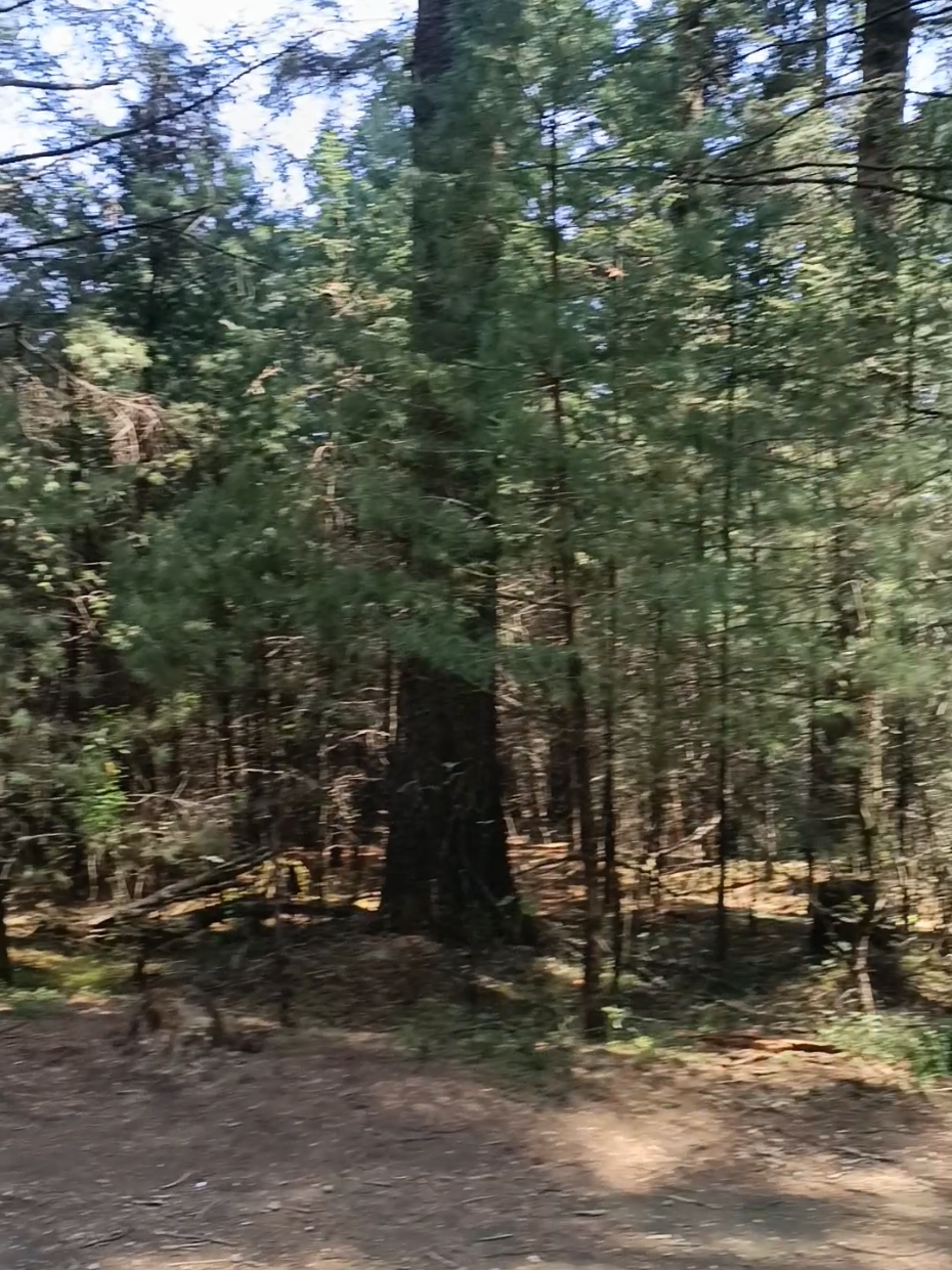 @César Ayala Mountainbiker