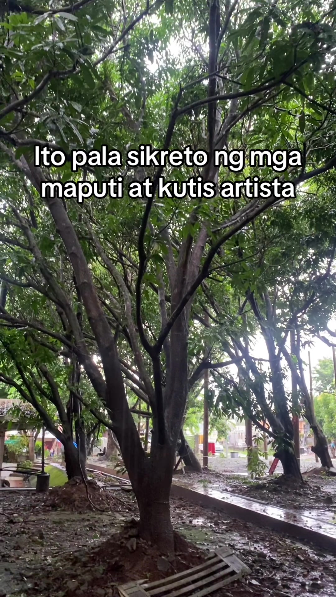 @Kvman