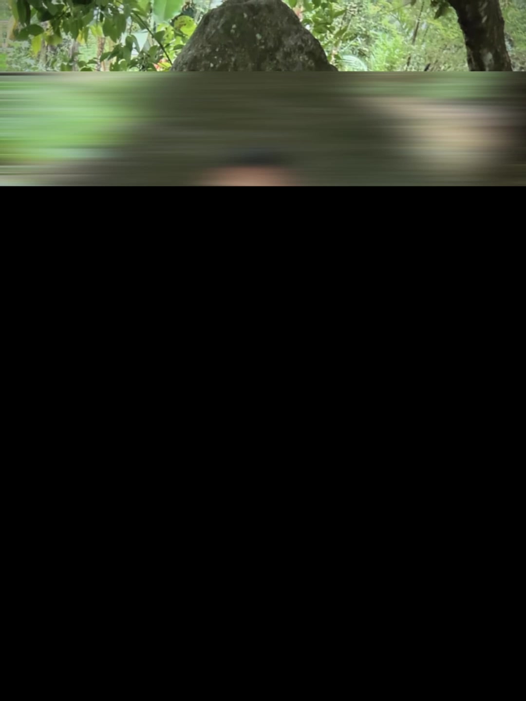 @user6533782463031