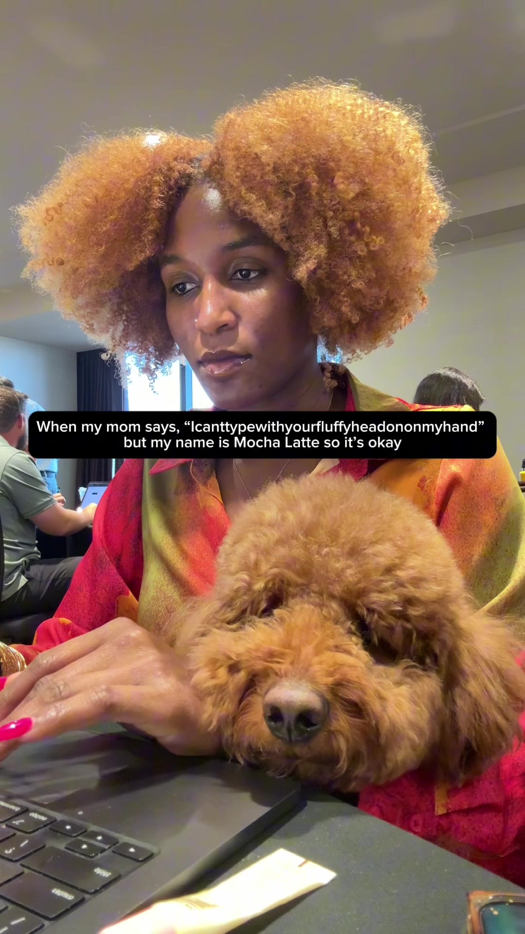 @Mocha | Mini Goldendoodle 🐾