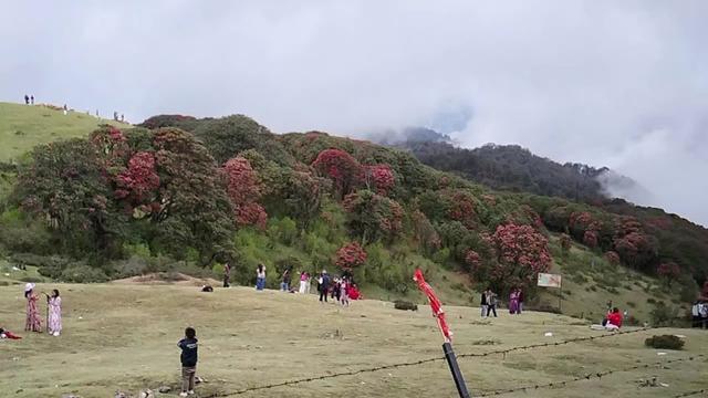 @Mr.( koshi)champion🥇2080🇳🇵