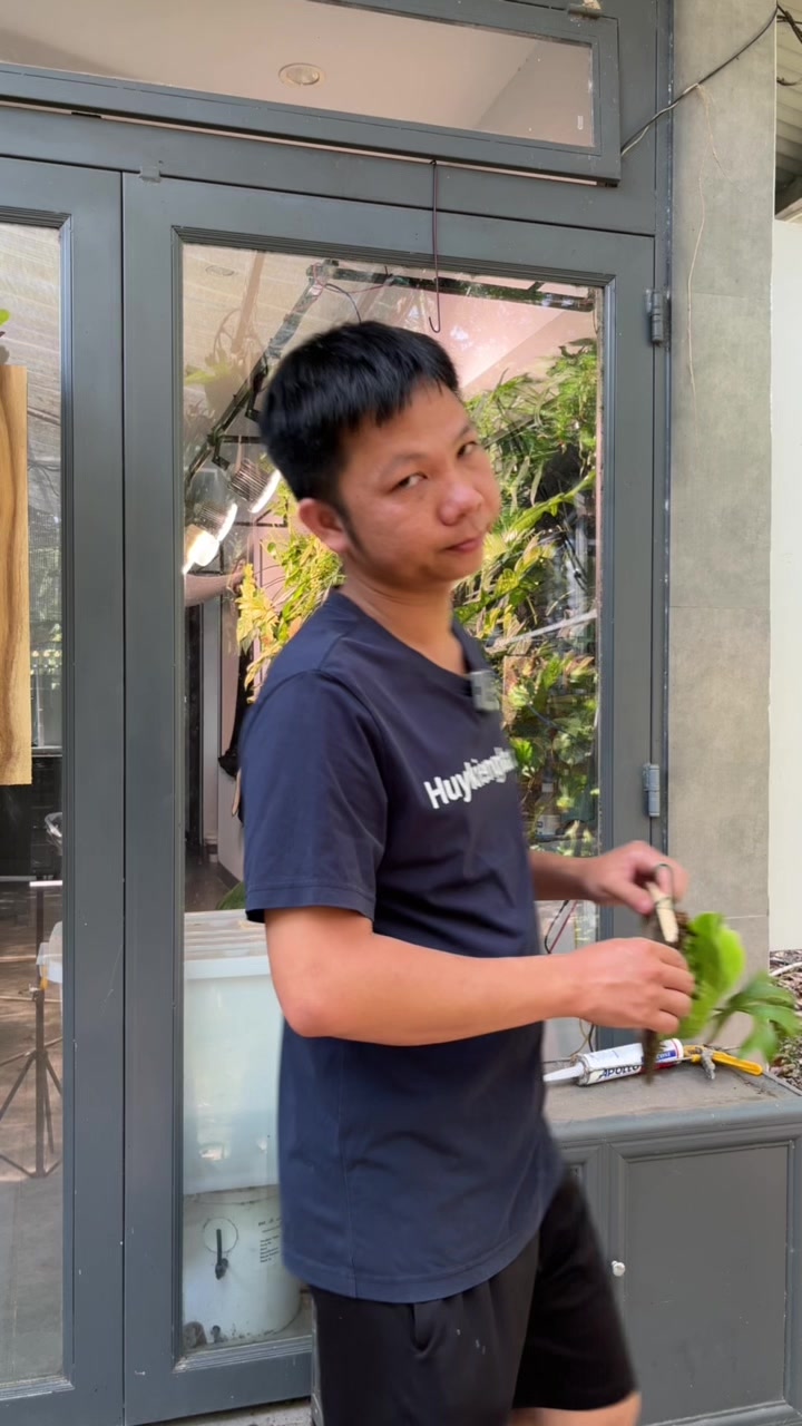 @Huy Kiểng L&aacute;