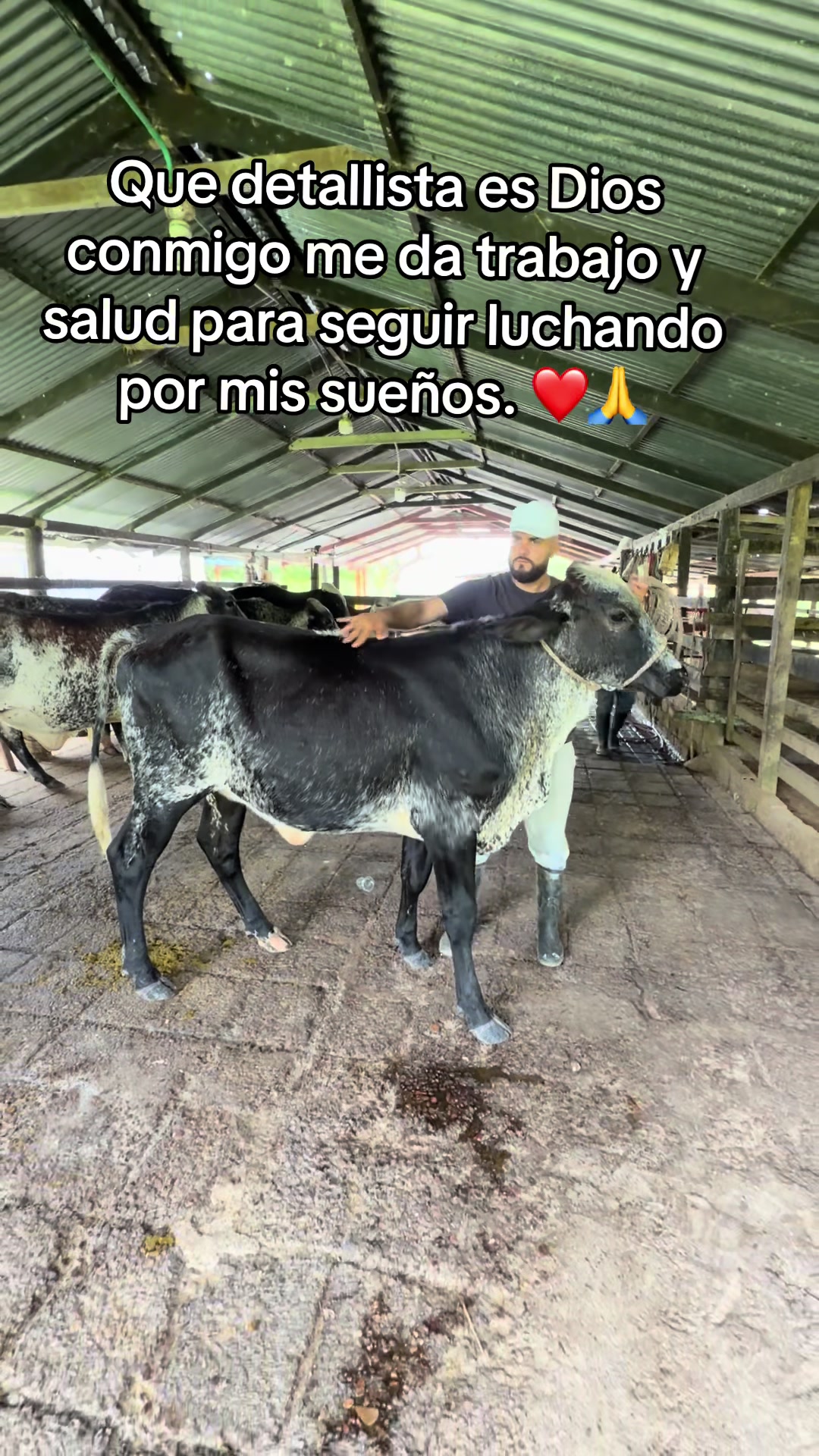 @Jhonatan Cabrera Var