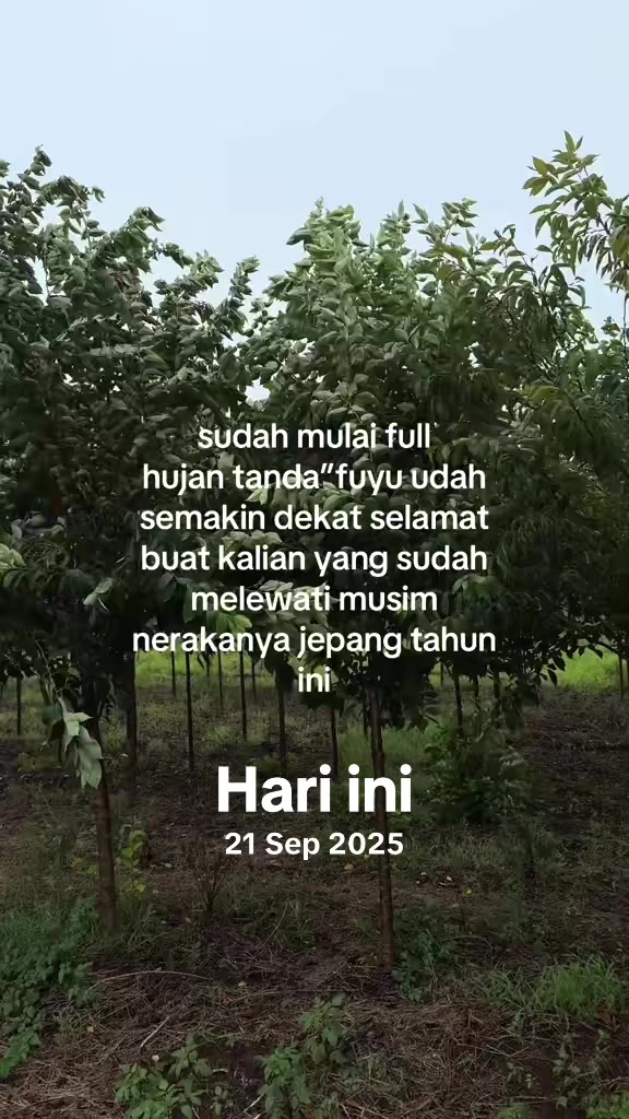 @pistacio 17