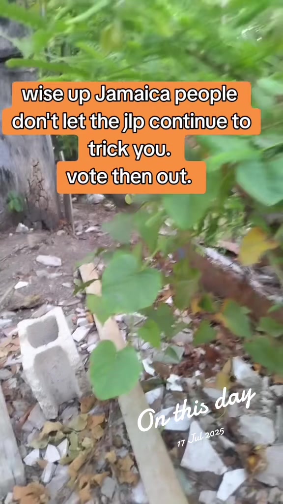 @Dan King526