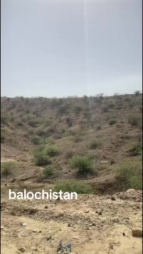@Zubair Khan 70