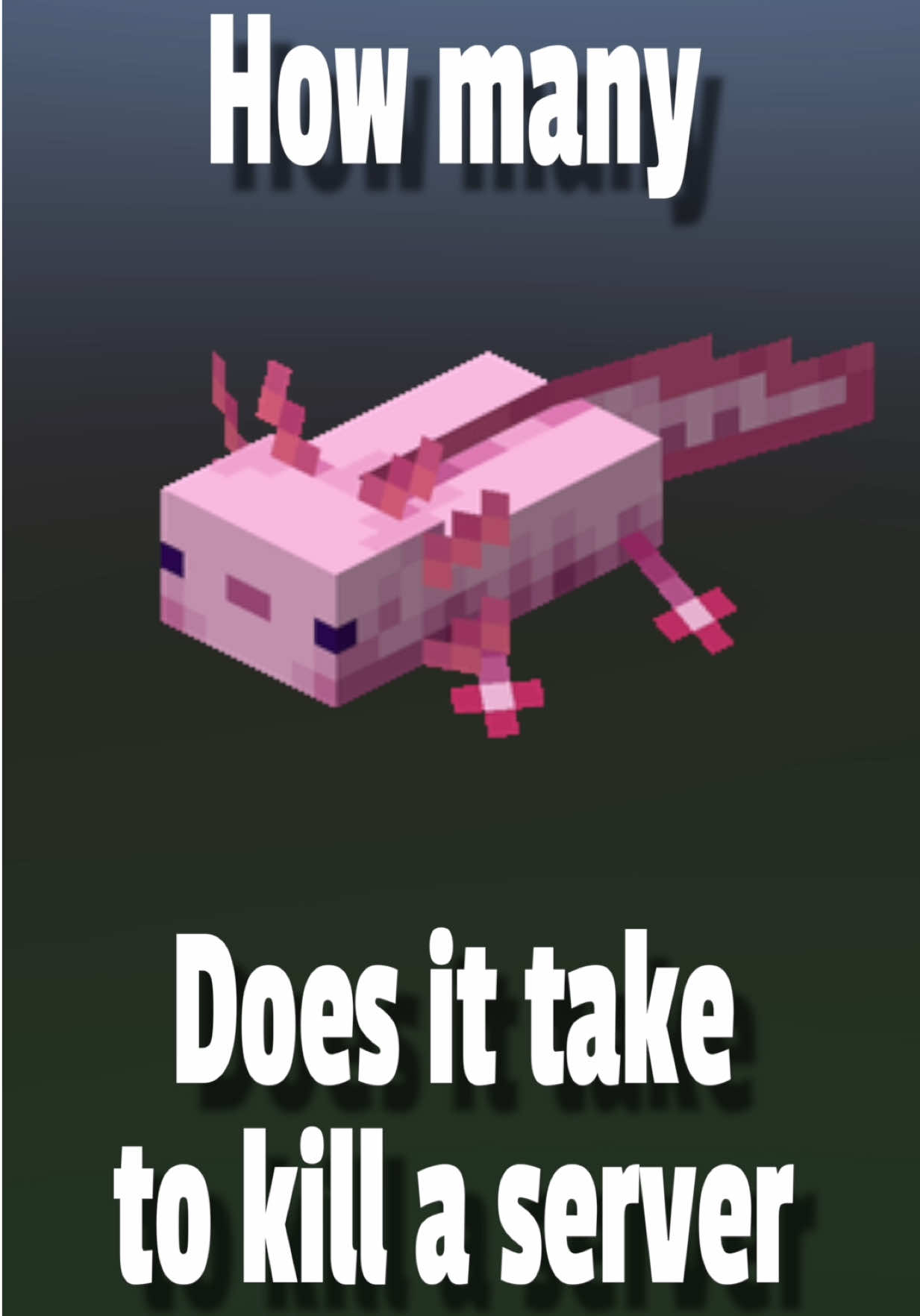 @Hostd
