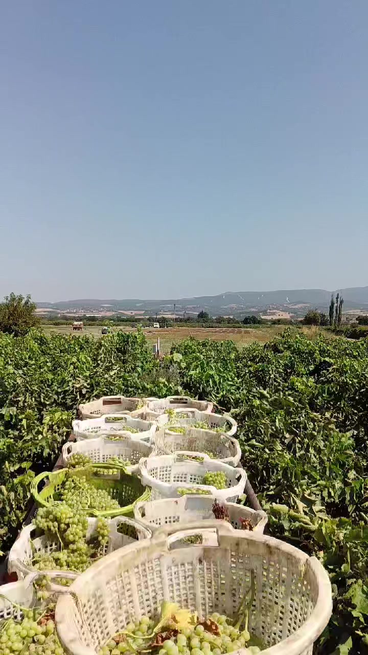 @murat can akıncı