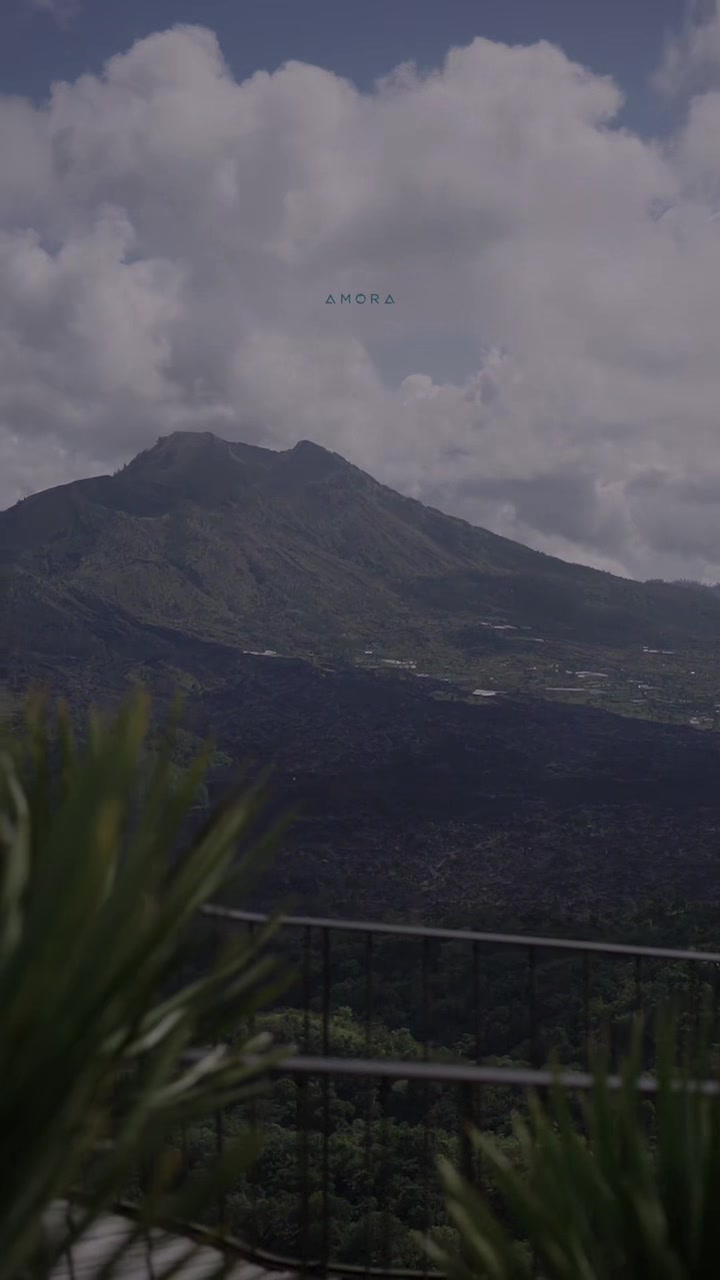 @Amora Kintamani