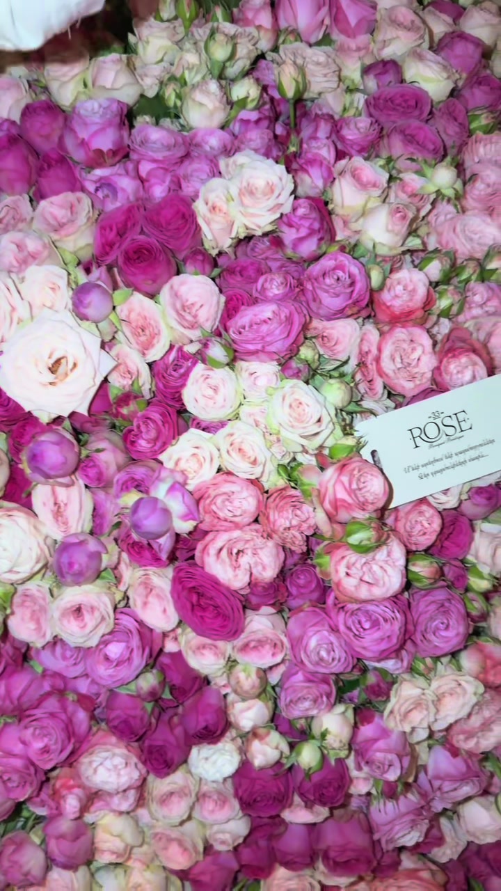 @33Rose