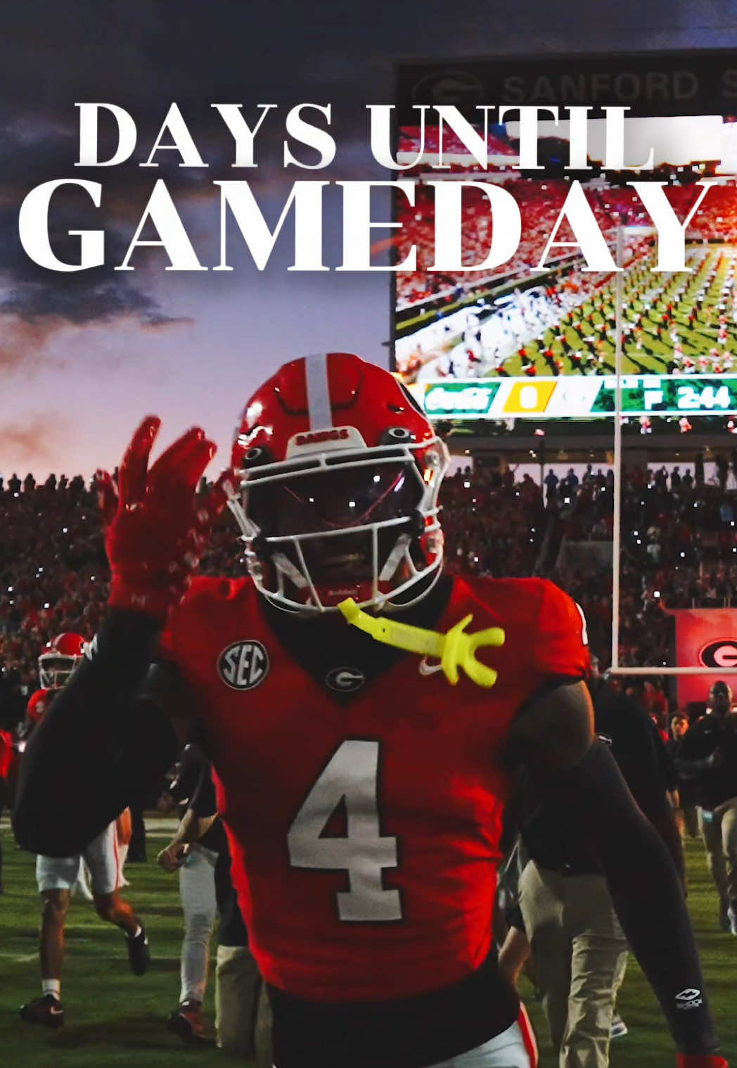 @Georgia Football