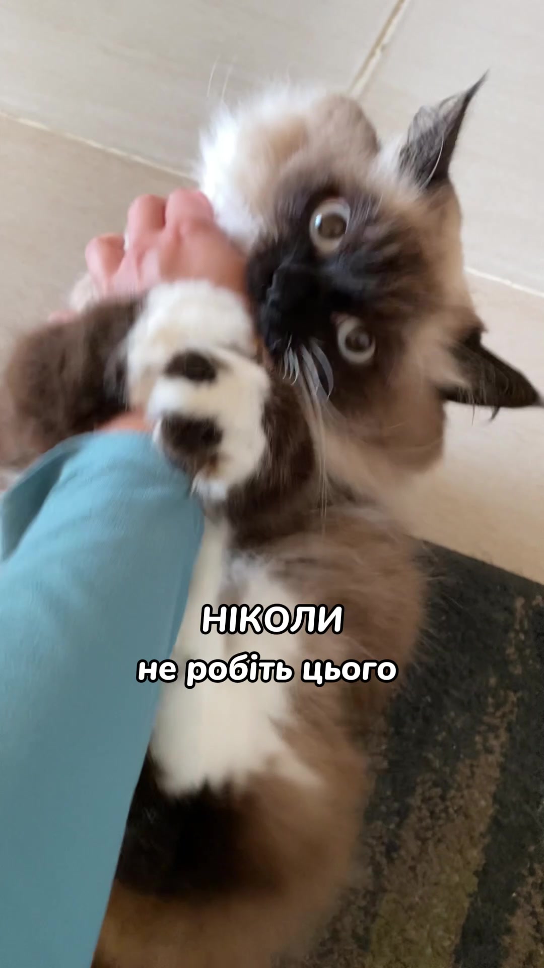 @Місс КІСЯ