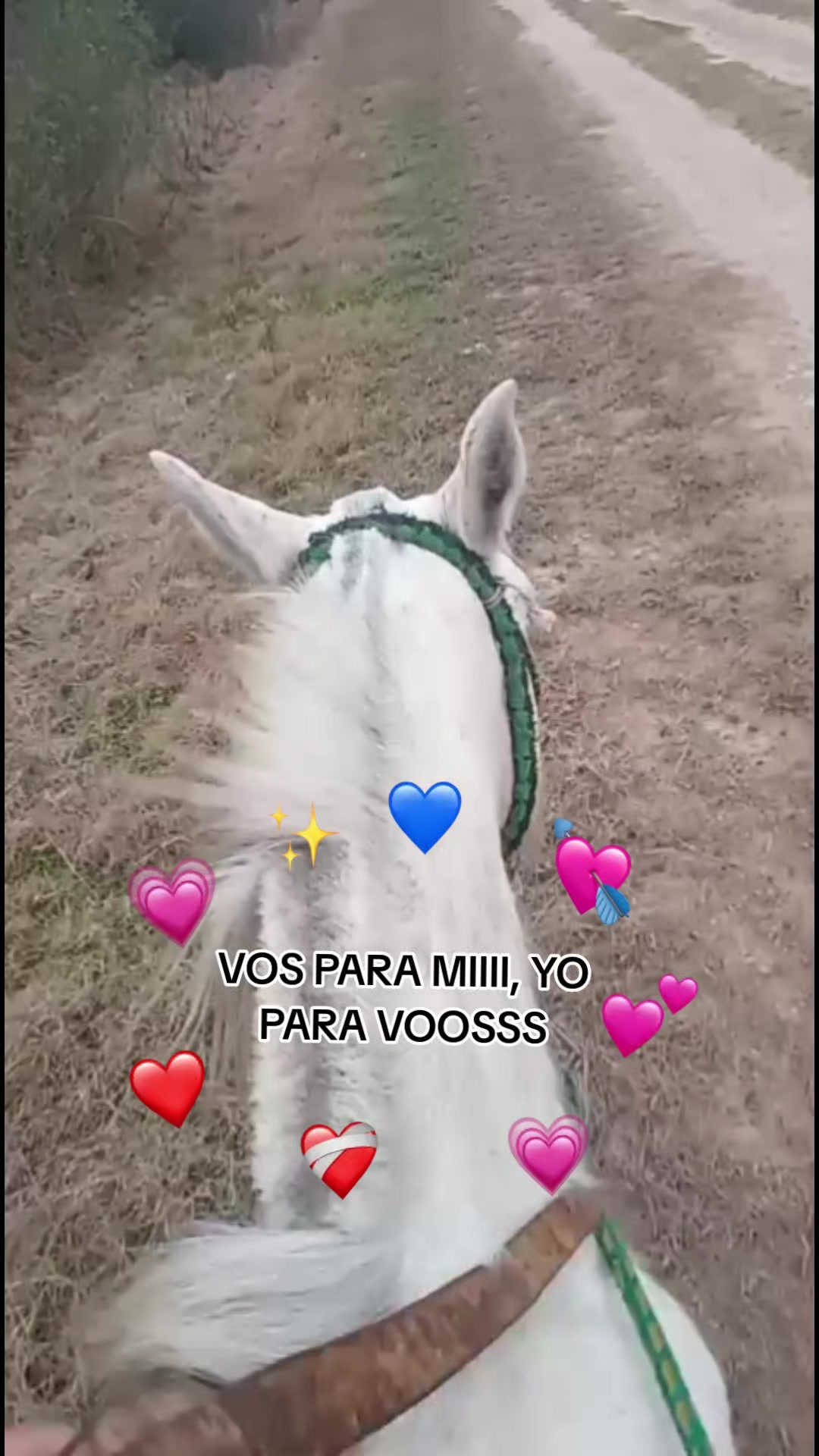 @rocio cerda