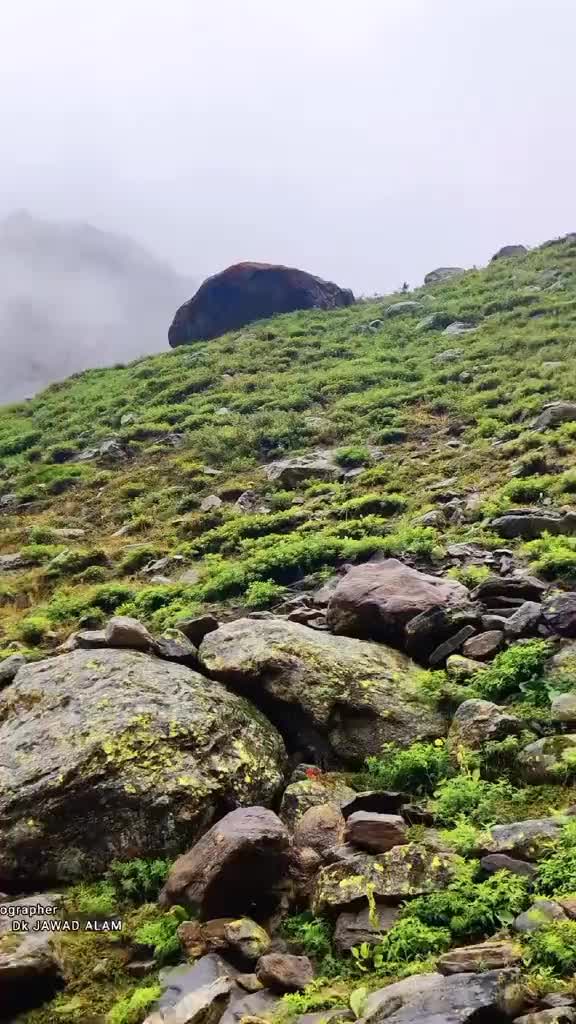 @شعیب عالم  ڈی کے
