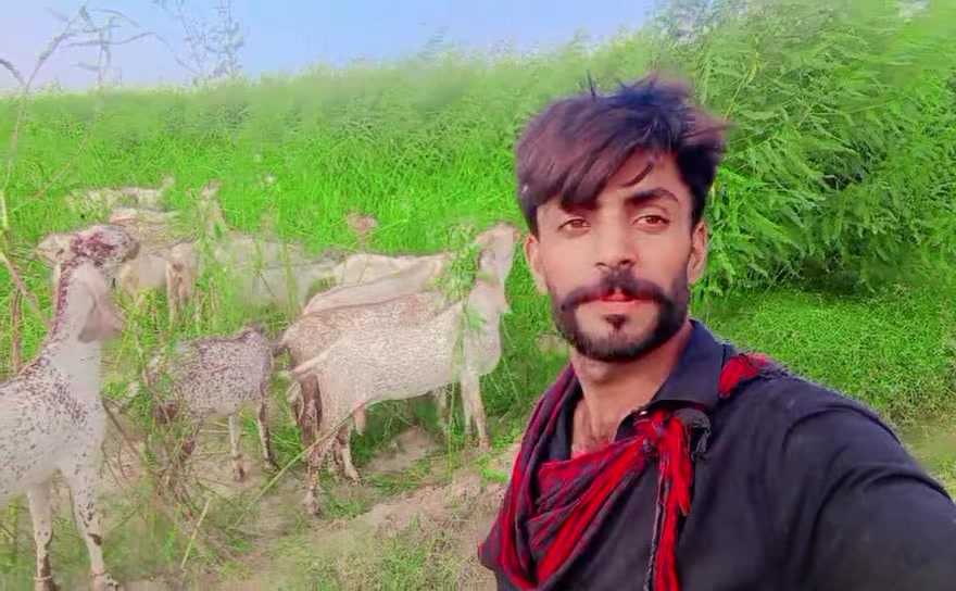 @Malik Rashid