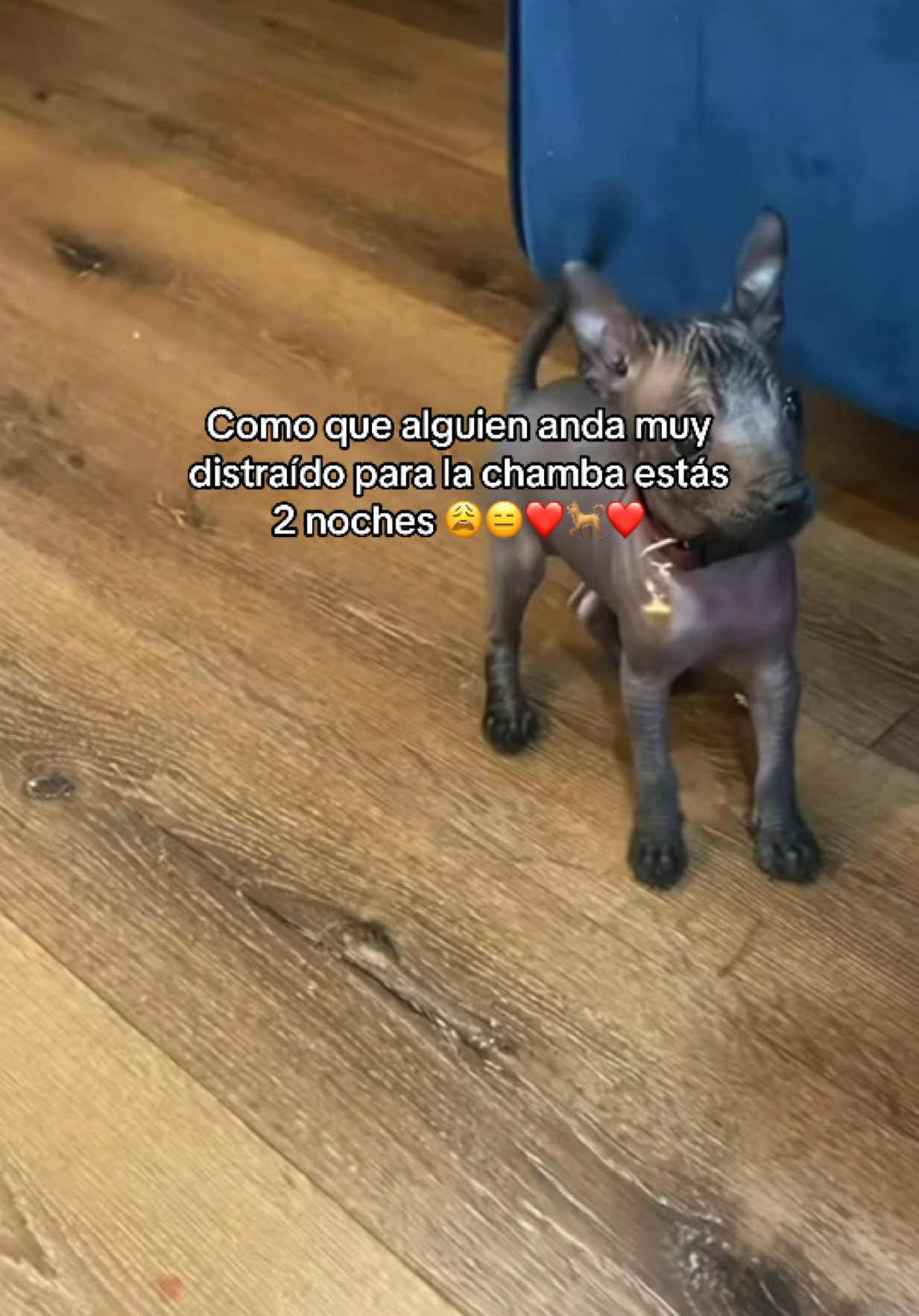 @Srj,Richar 💎