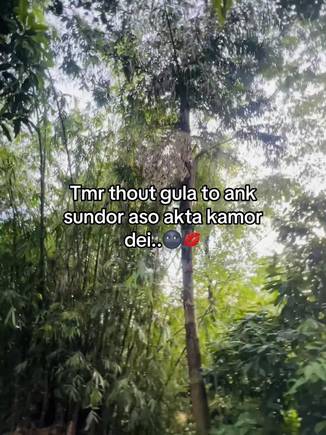 @টিক-টিকি