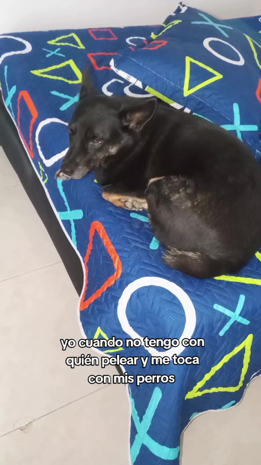 @ALFYULE