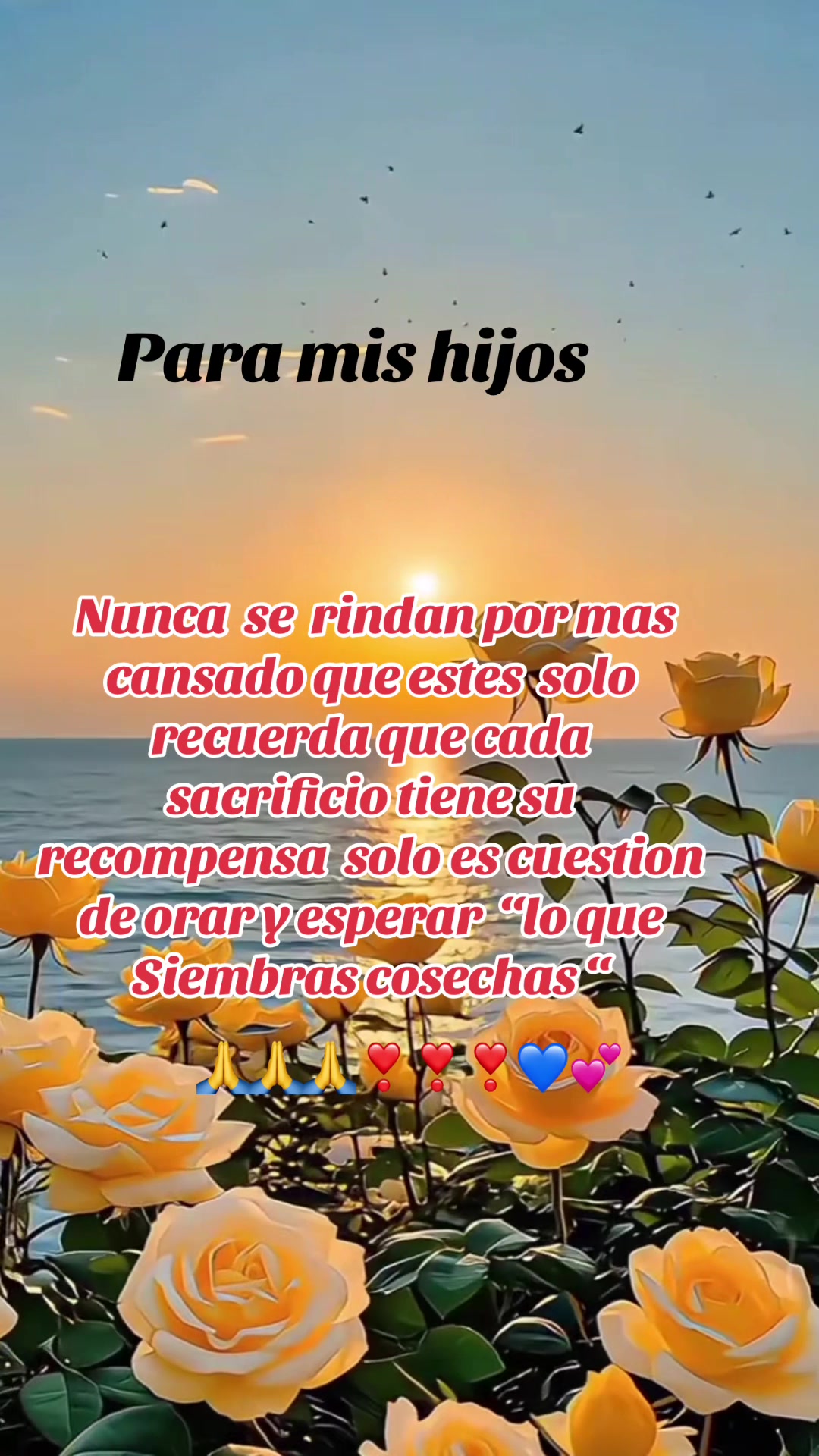@Aliciag13