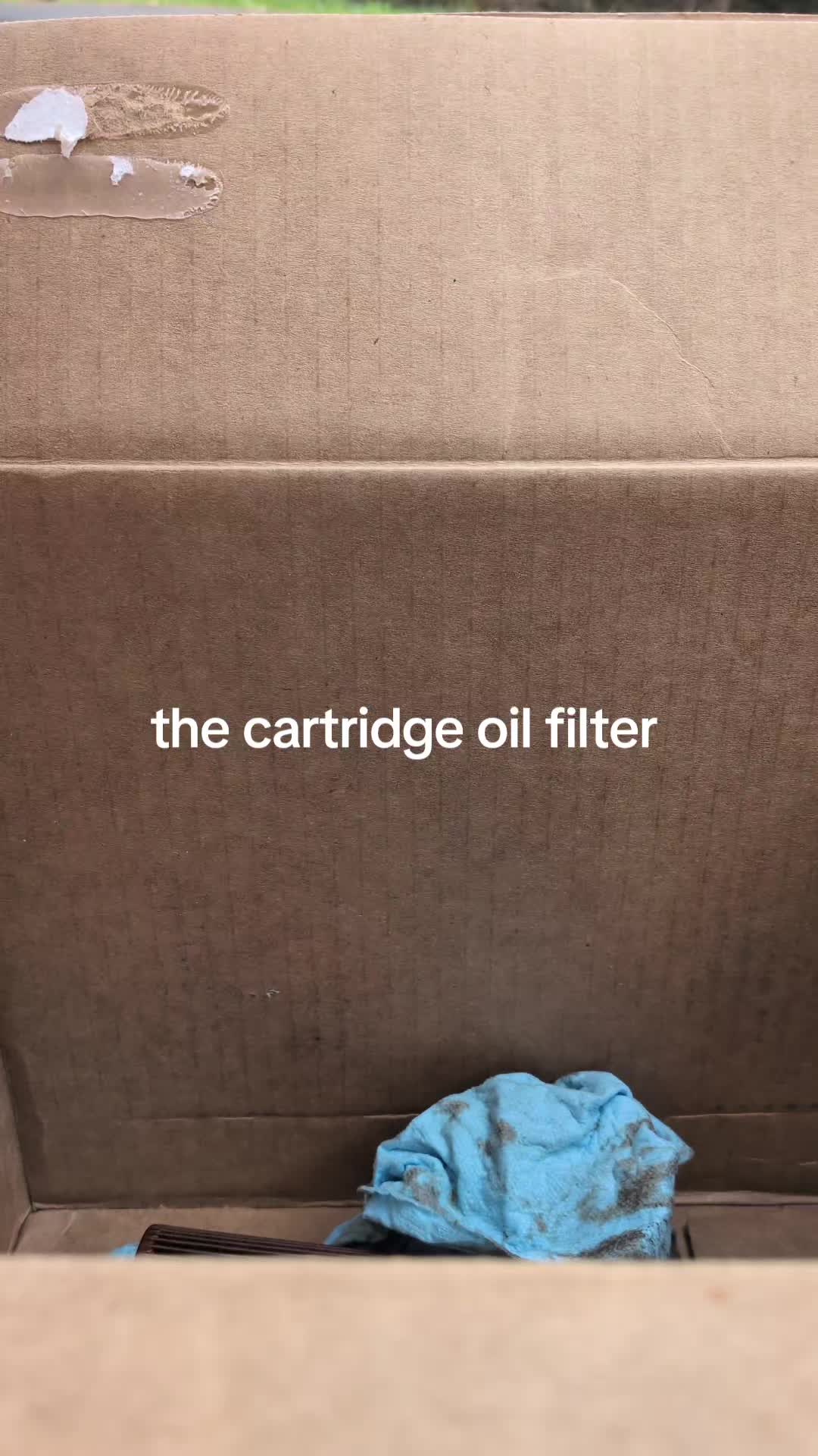 @she_changes_oil