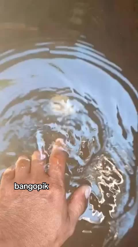 @bang opik