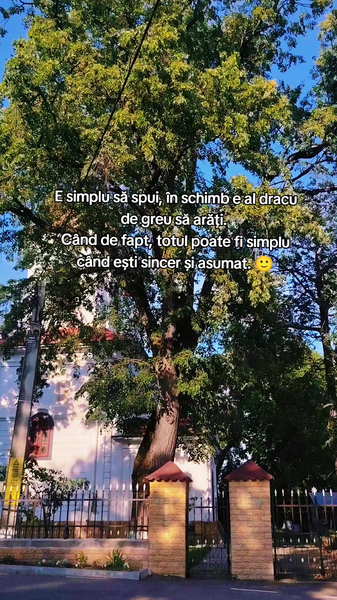 @12 ALM