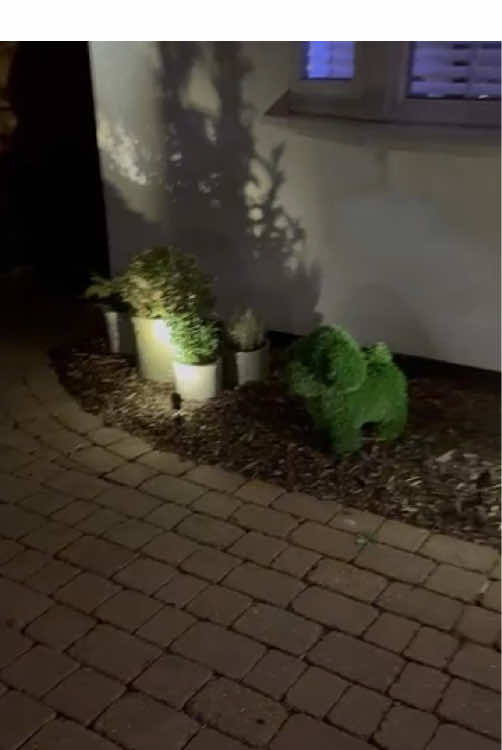 @tsunlighting