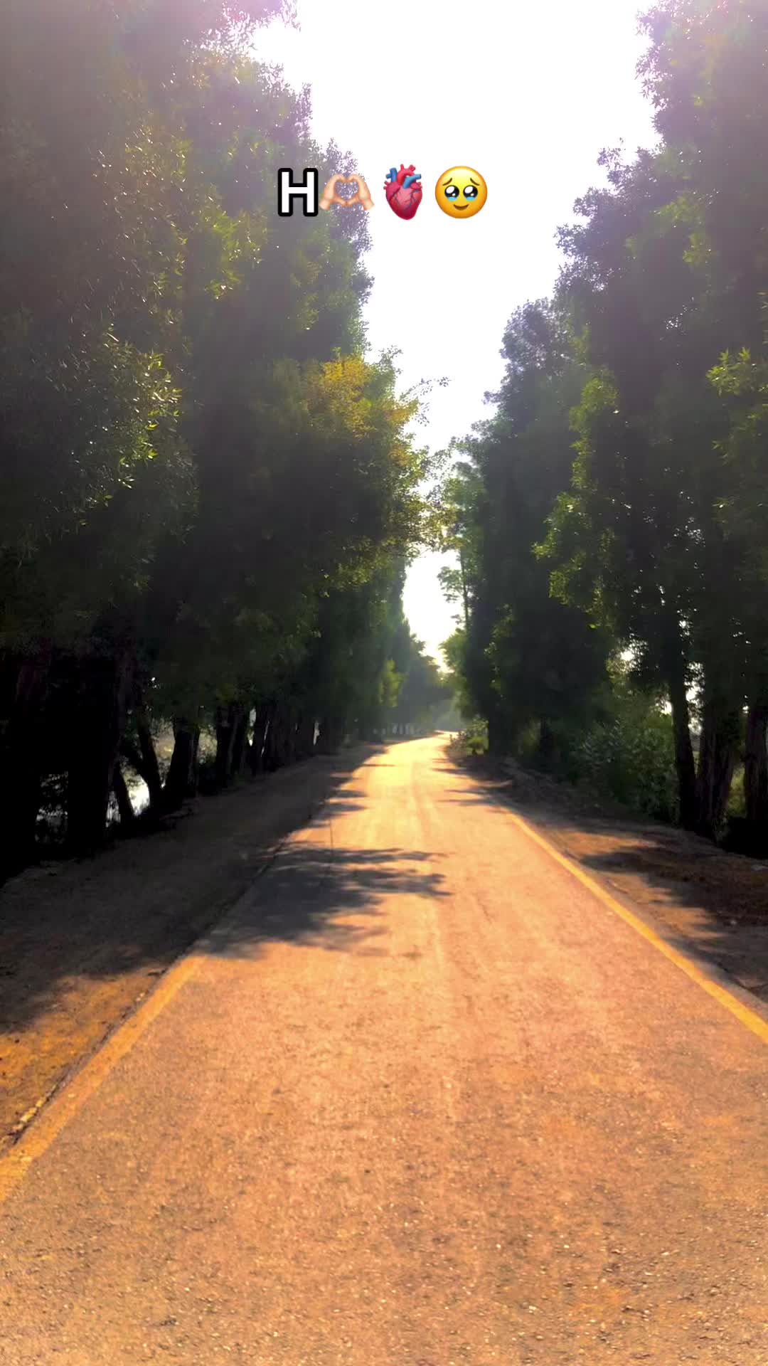 @❣️مسکان ❣️