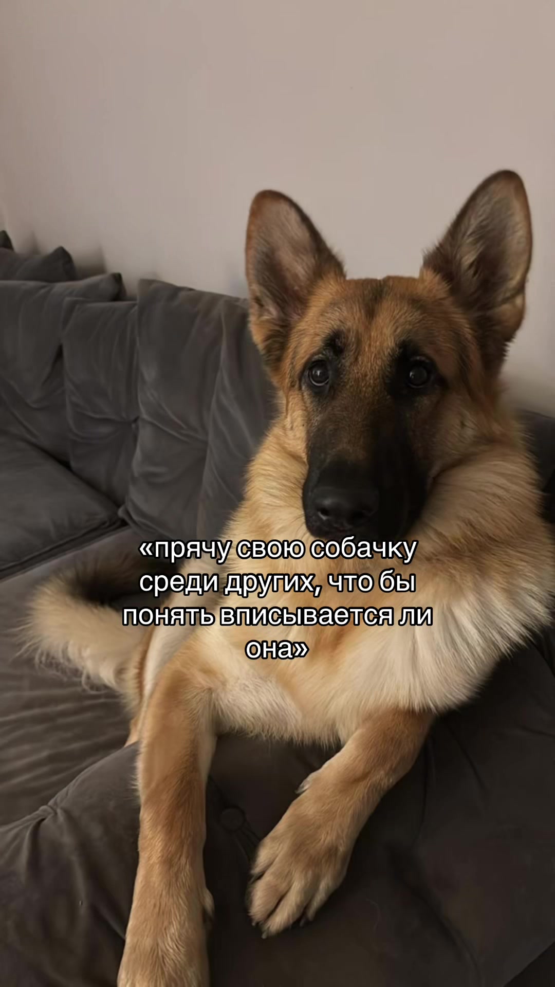 @катринка💕🤷🏼♀️