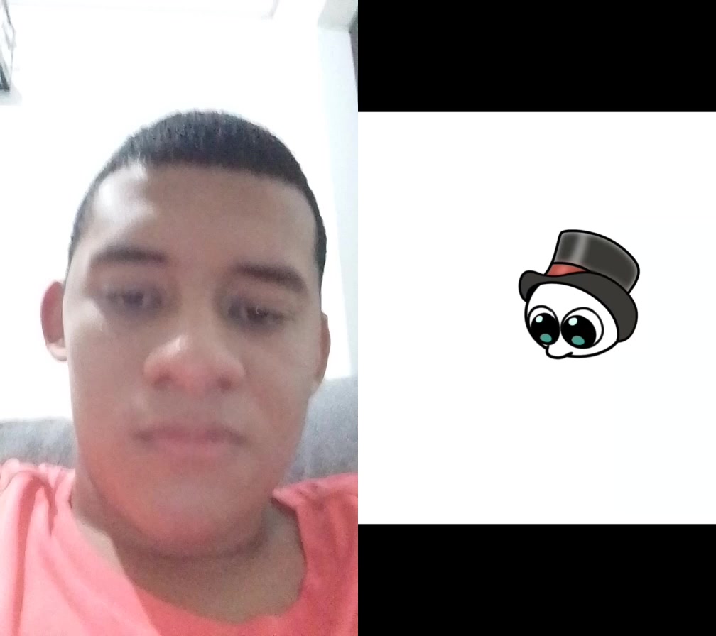 @Lucas Vicente De Silva
