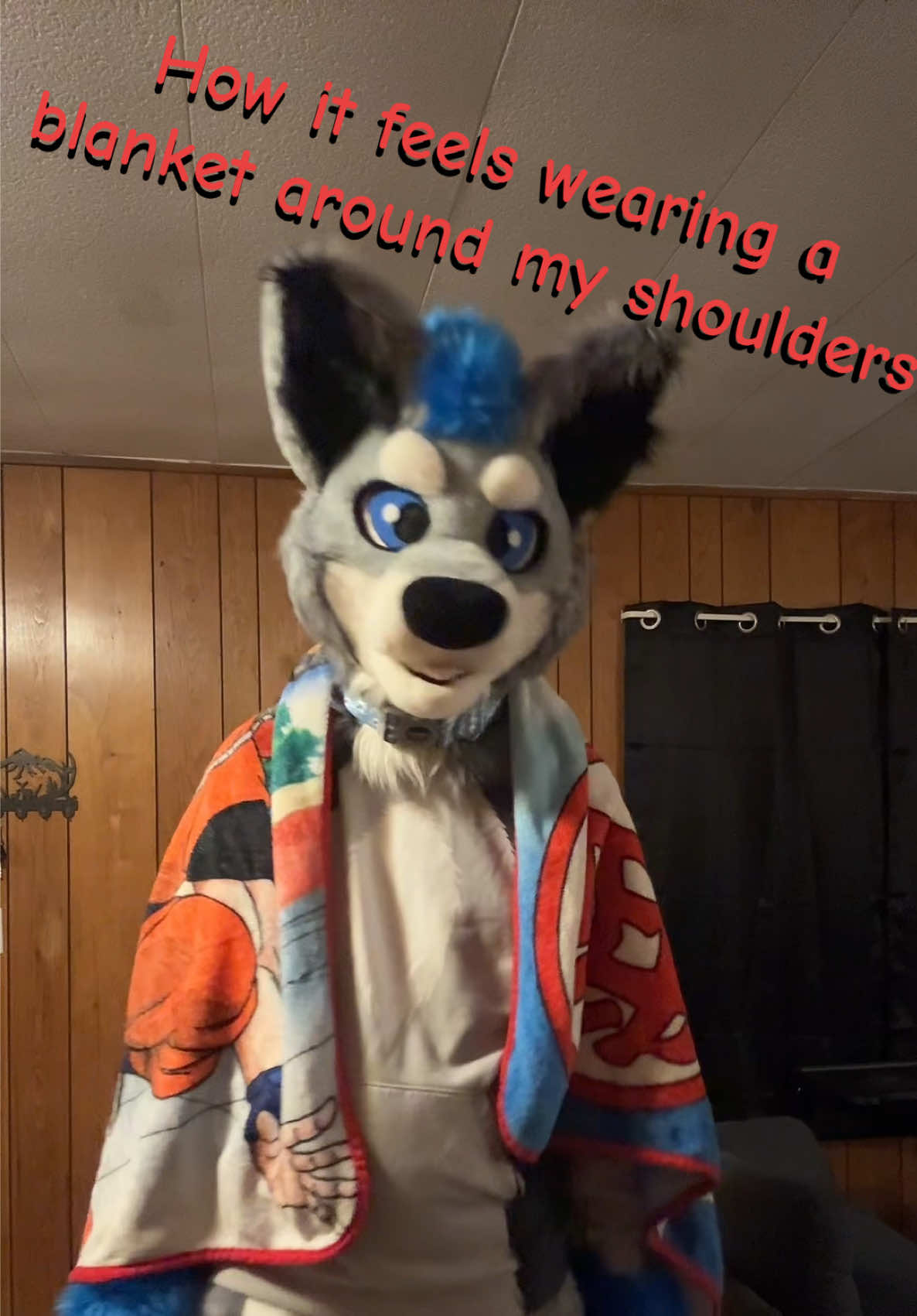 @BlueSilver_Wolf