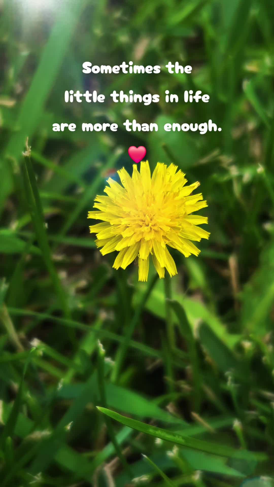 @RealHeart❤