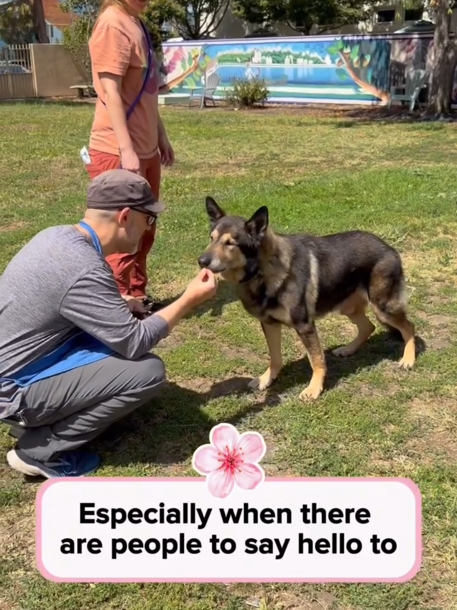 @Oakland Animal Services