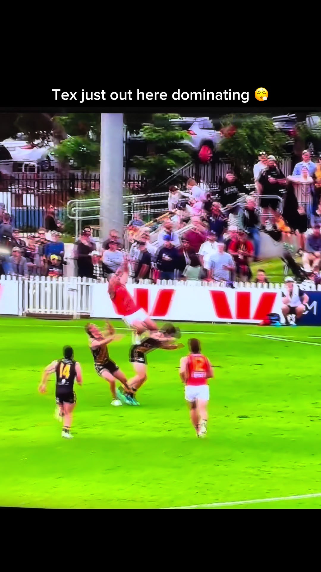 @Adelaide Crows
