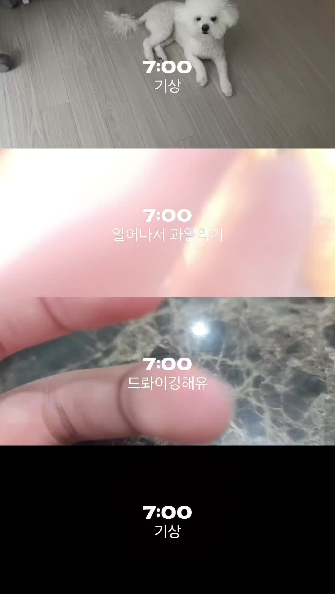 @기아츄(부)