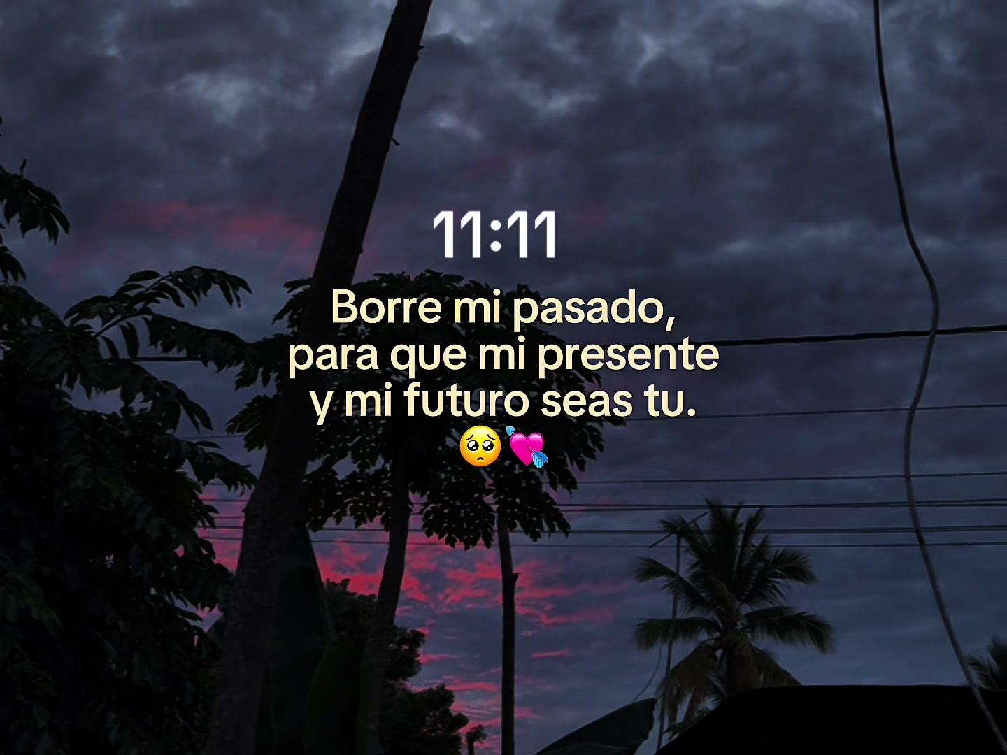 @𝐊𝐧𝐢𝐠𝐡𝐭 𝐌𝐮𝐬𝐢𝐜🌑