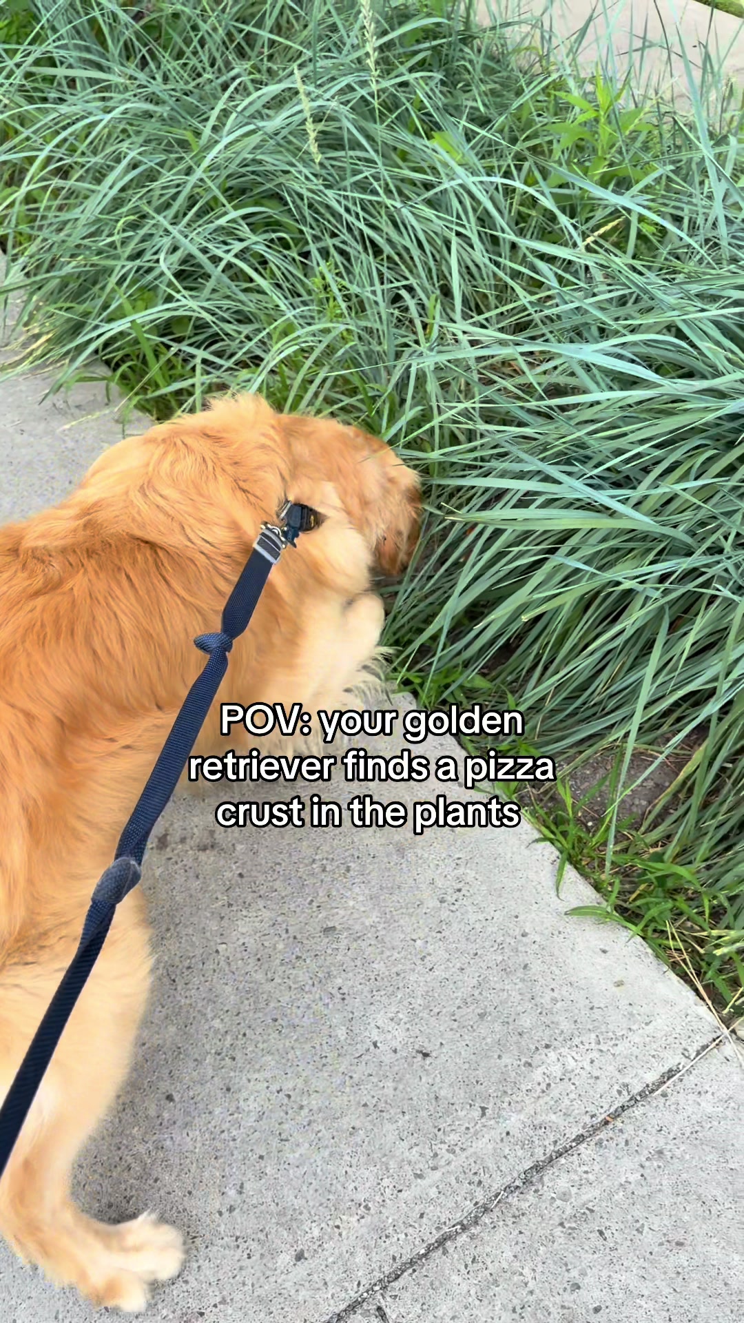 @Lauren and Charlie