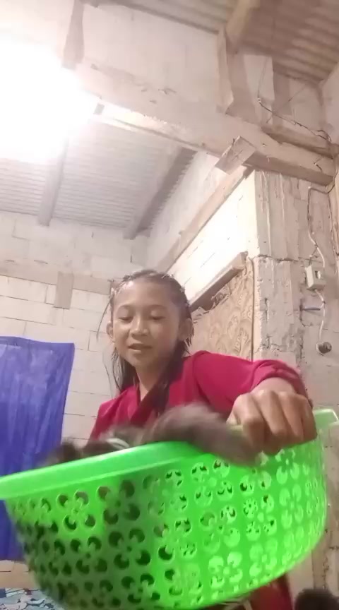 @simidun