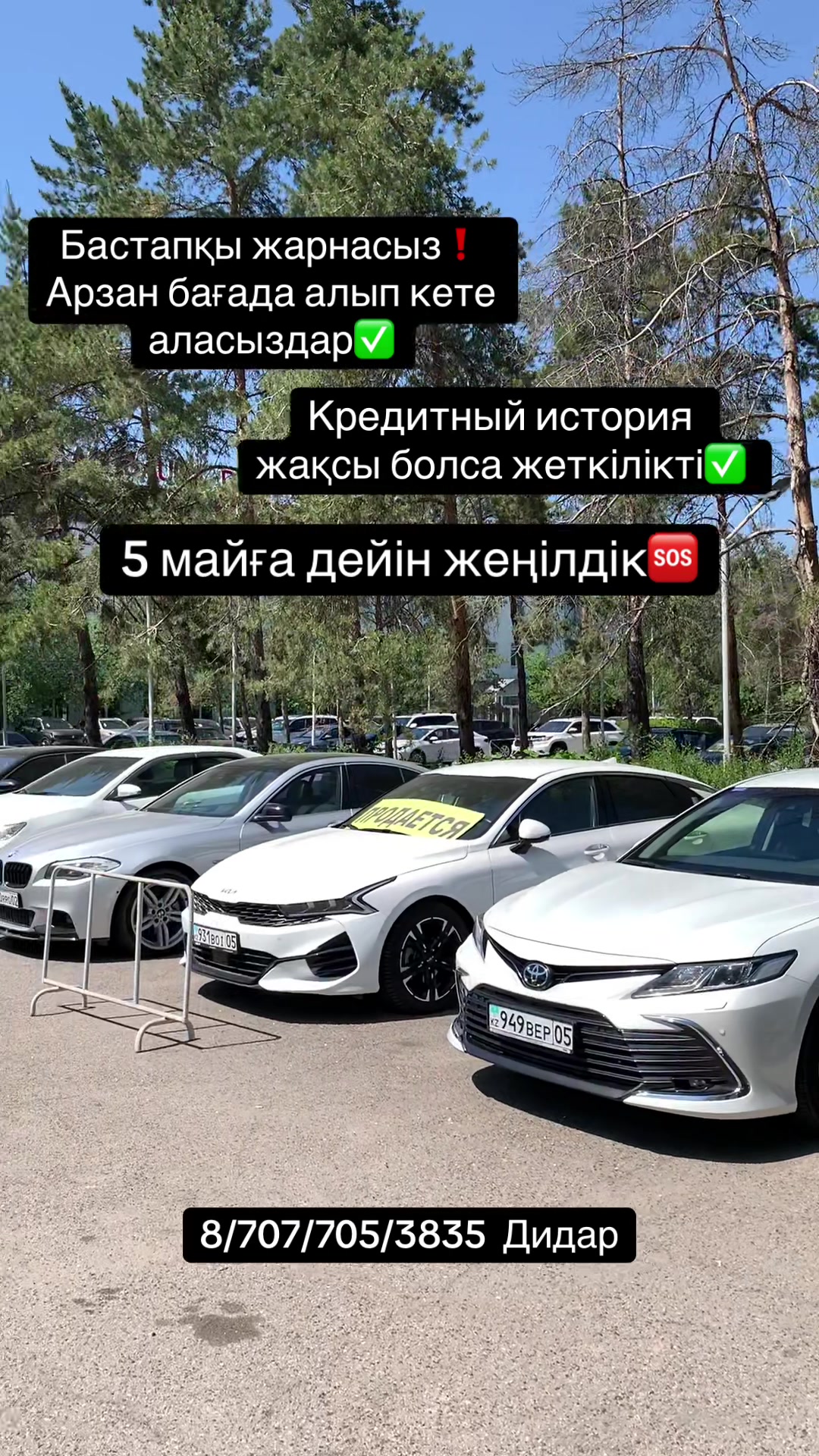 @bay_cars