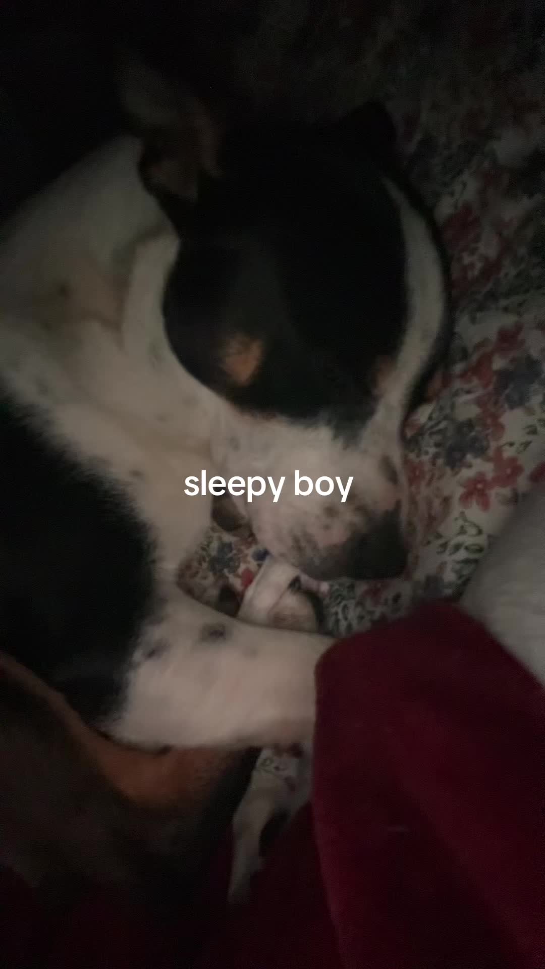 @bbyveli7