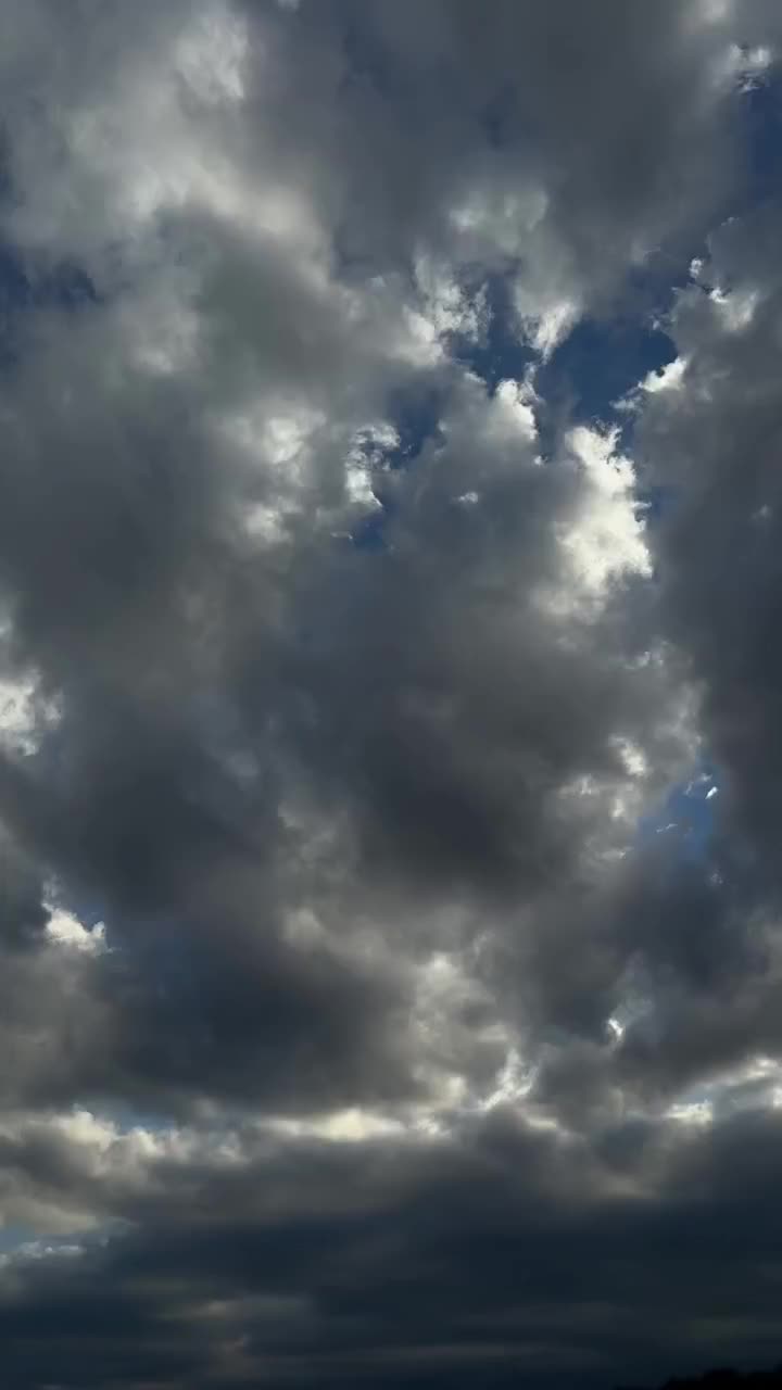 @can³⁰³