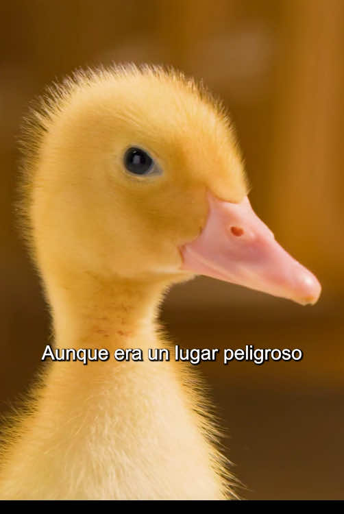 @vvv123456