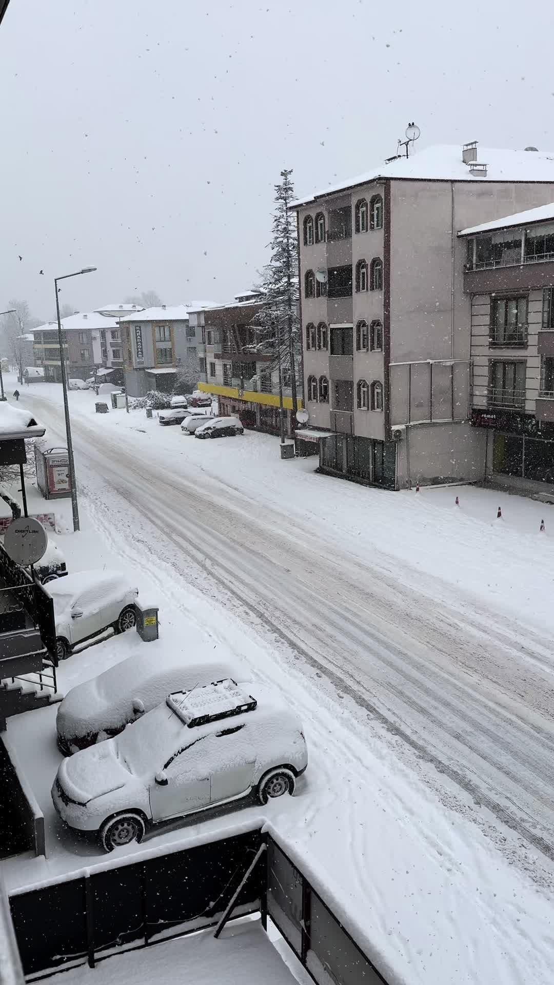 @Oğuz BULUT