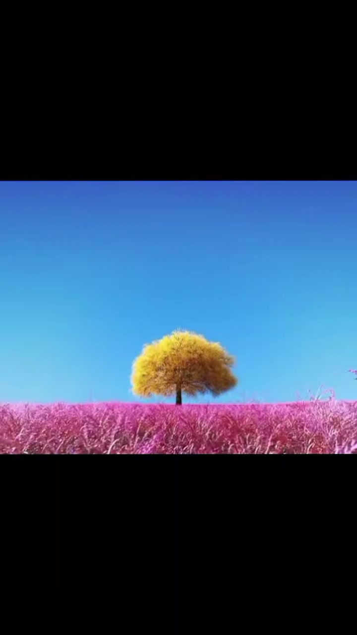 @Aenii_โค๏ธ๐ฅ๐ฆ