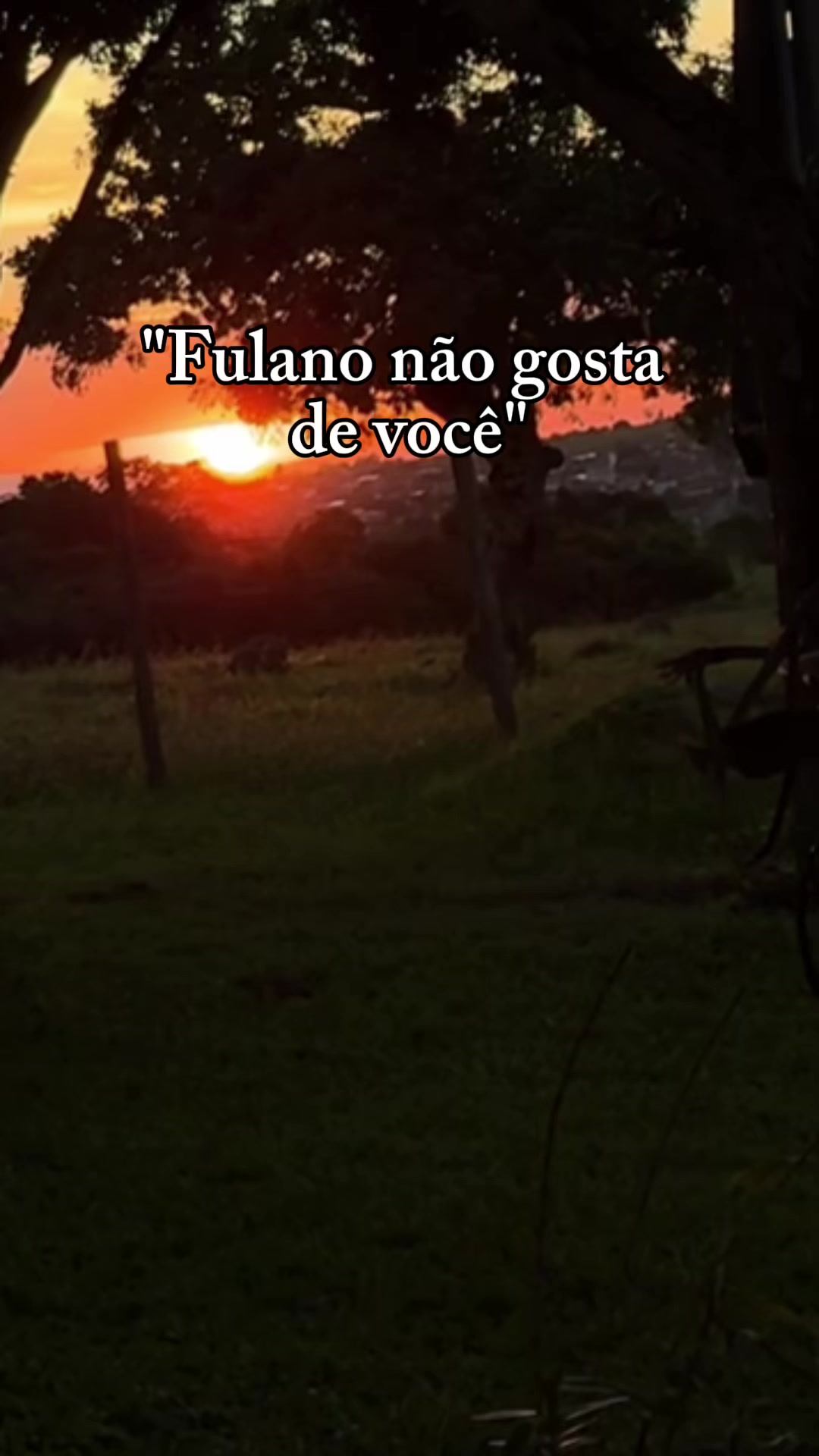 @Mayana Moura