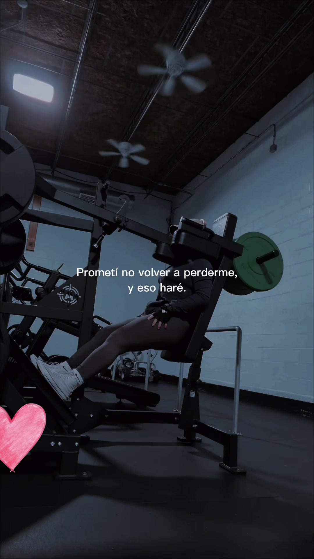 @MteoM🐨