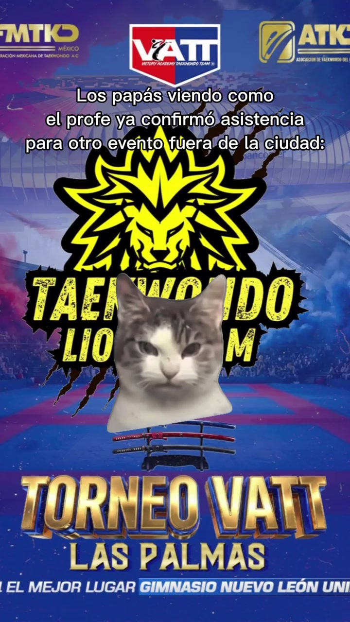 @taekwondolionsteam