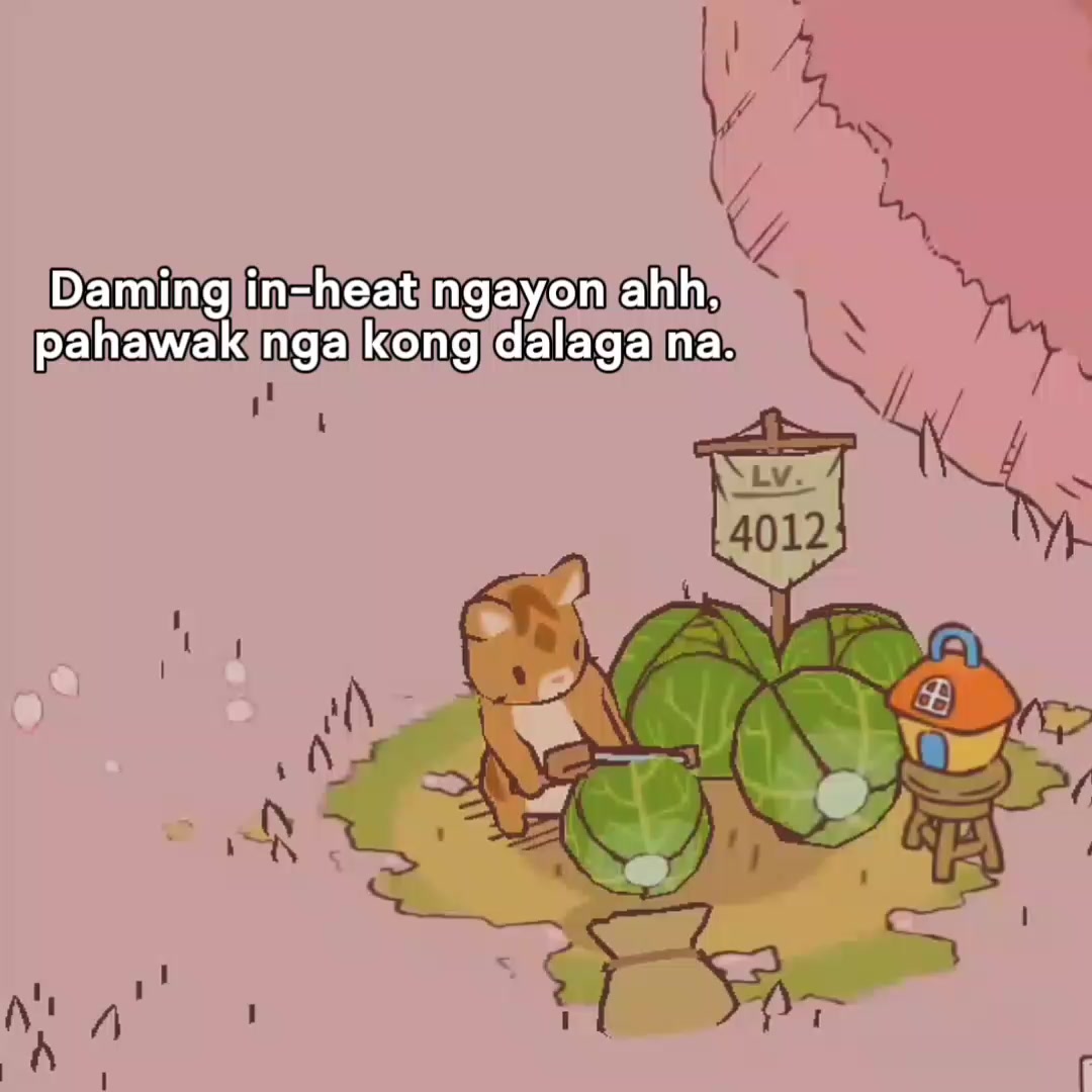 @Xyy.