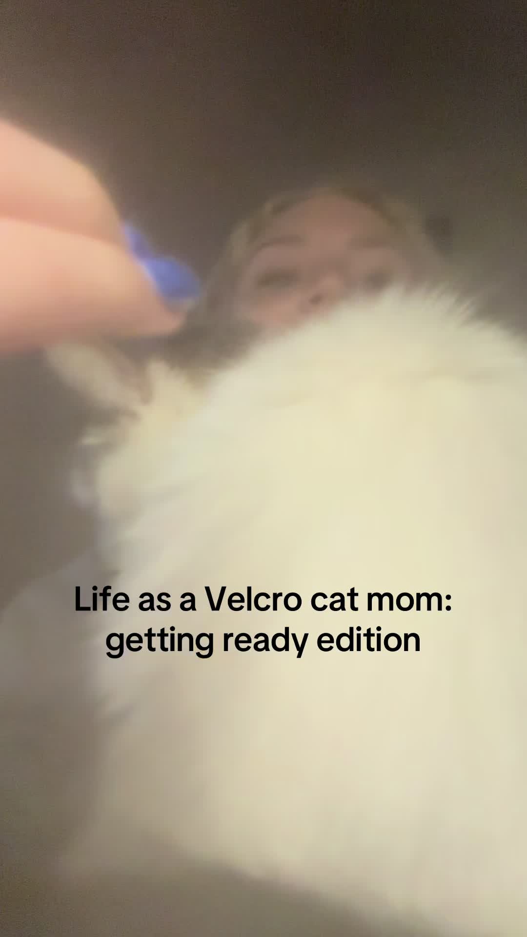@corrin_adams
